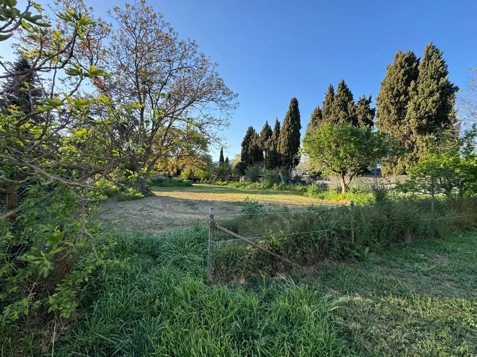 Venta de una magnífica casa con gran terreno rústico en Sant Antoni de Vilamajor - Carretera de Llinars (C-251, km 11,5) - Imagen 12 de 12